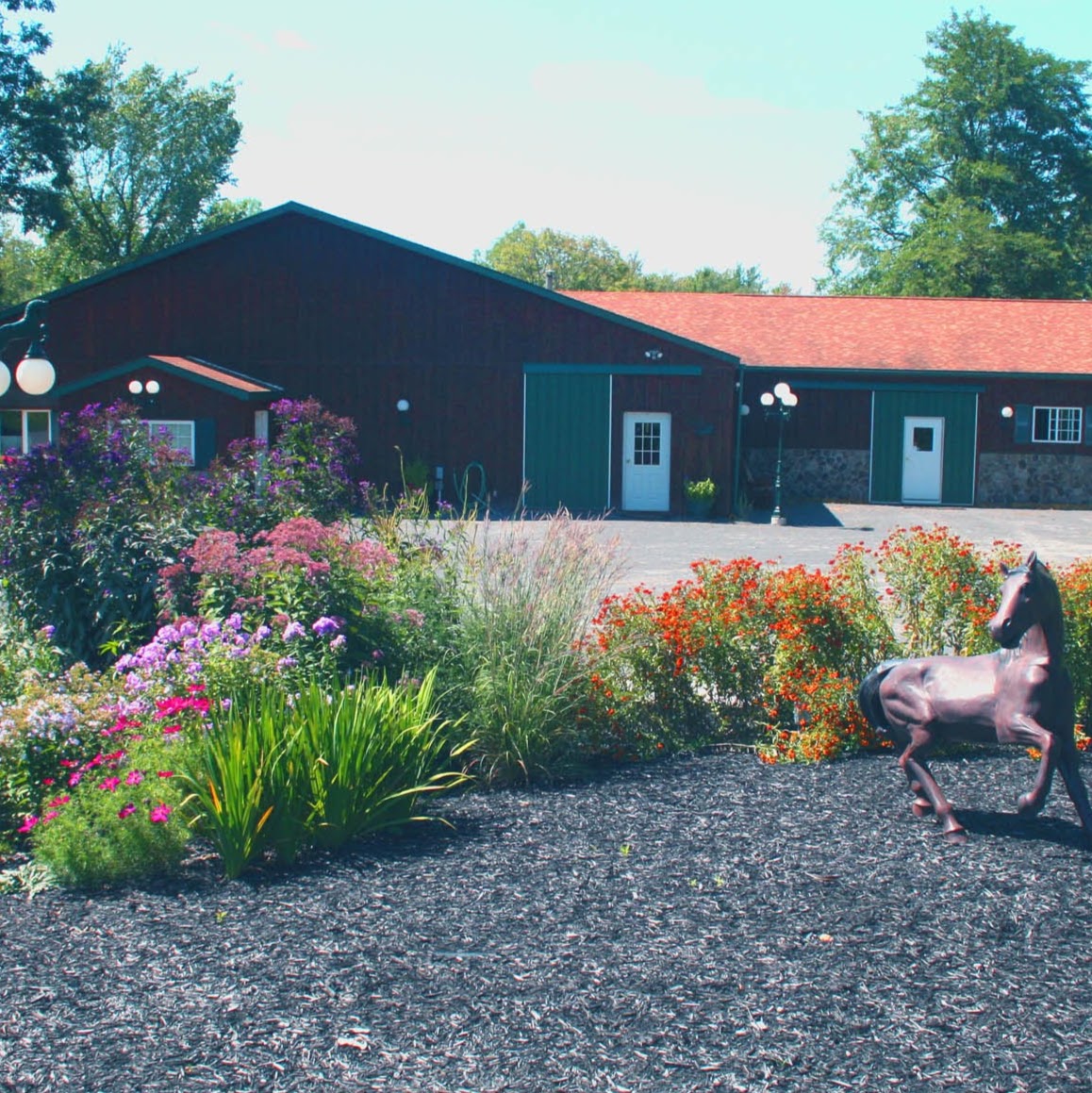 Morgan Equine Veterinary And Farrier Services - Aiken , United States