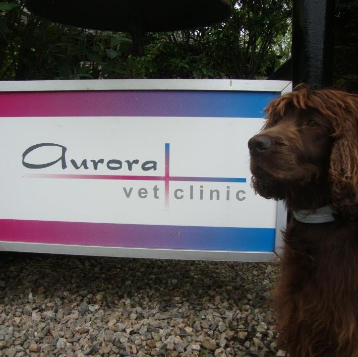 Aurora Vet Clinic - Aberdeen , United Kingdom