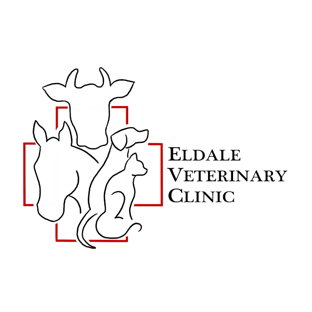Eldale Veterinary Clinic - Elmira , Canada