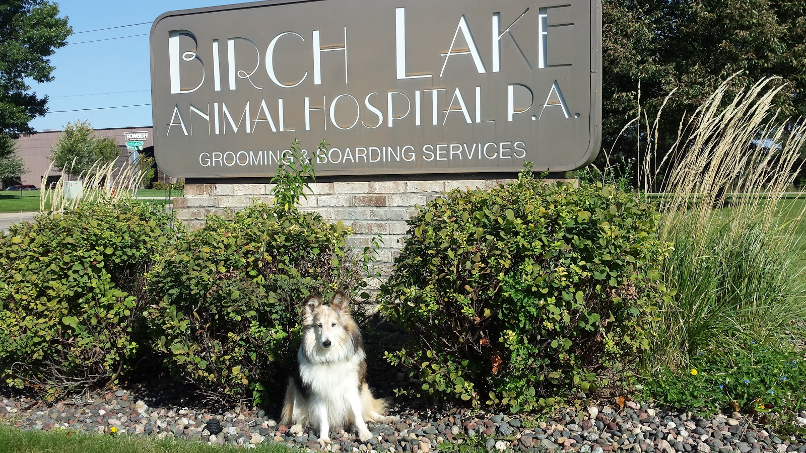 Birch Lake Animal Hospital - White Bear Lake , United States