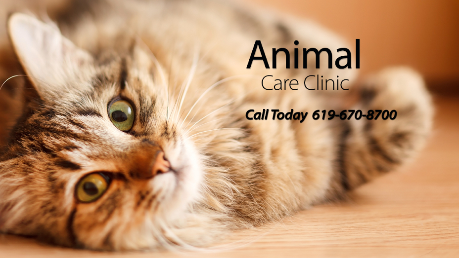 Animal Care Clinic - El Cajon , United States