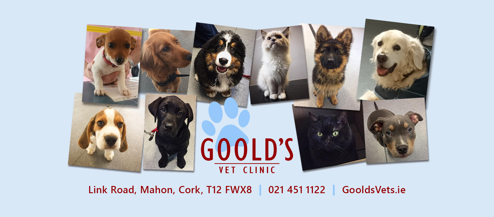 Goolds Veterinary Clinic - Cork , Ireland