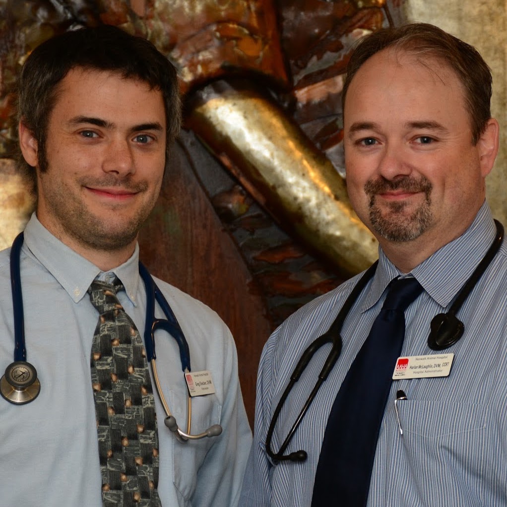 Norwalk Animal Hospital - Norwalk , United States