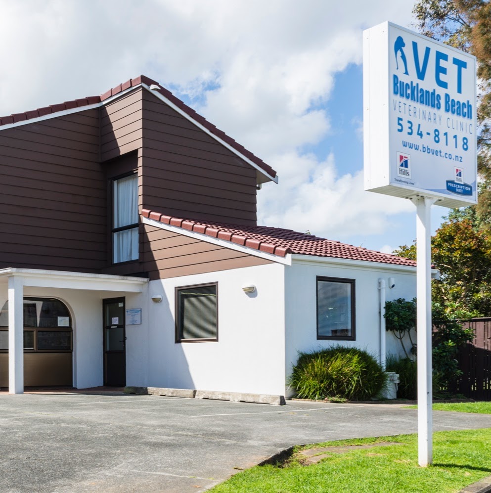 Bucklands Beach Veterinary Clinic - Bucklands Beach , New Zealand