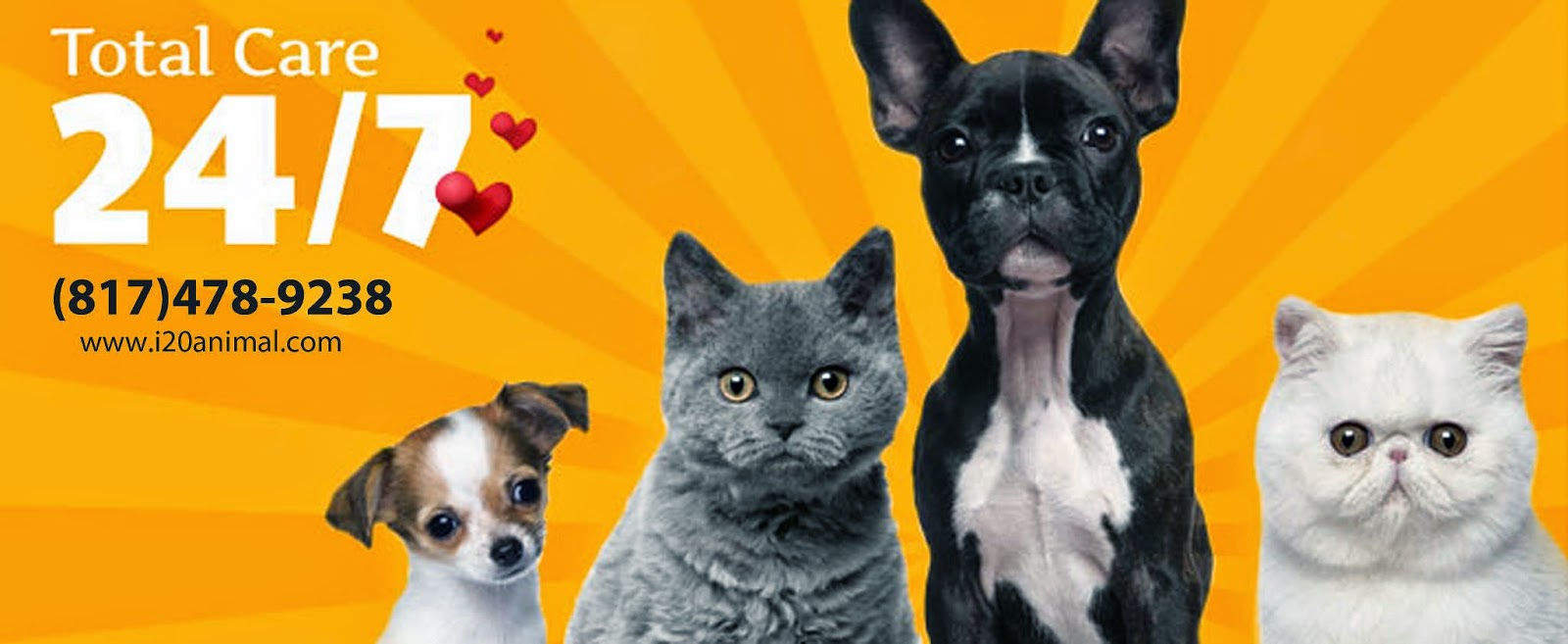 I 20 Animal Medical Center - Arlington , United States