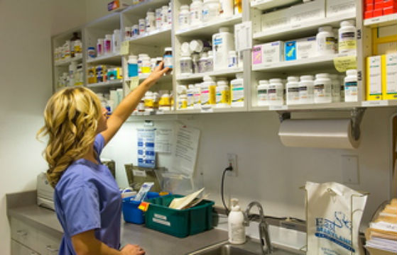 East Maryland Animal Hospital - Phoenix , United States
