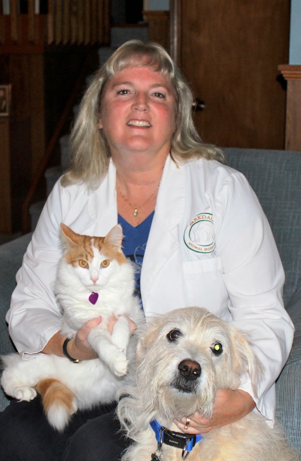 Parkdale Animal Hospital - Waterloo , Canada