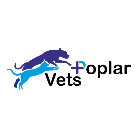 Poplar Vets Vet Co Uk - London , United Kingdom