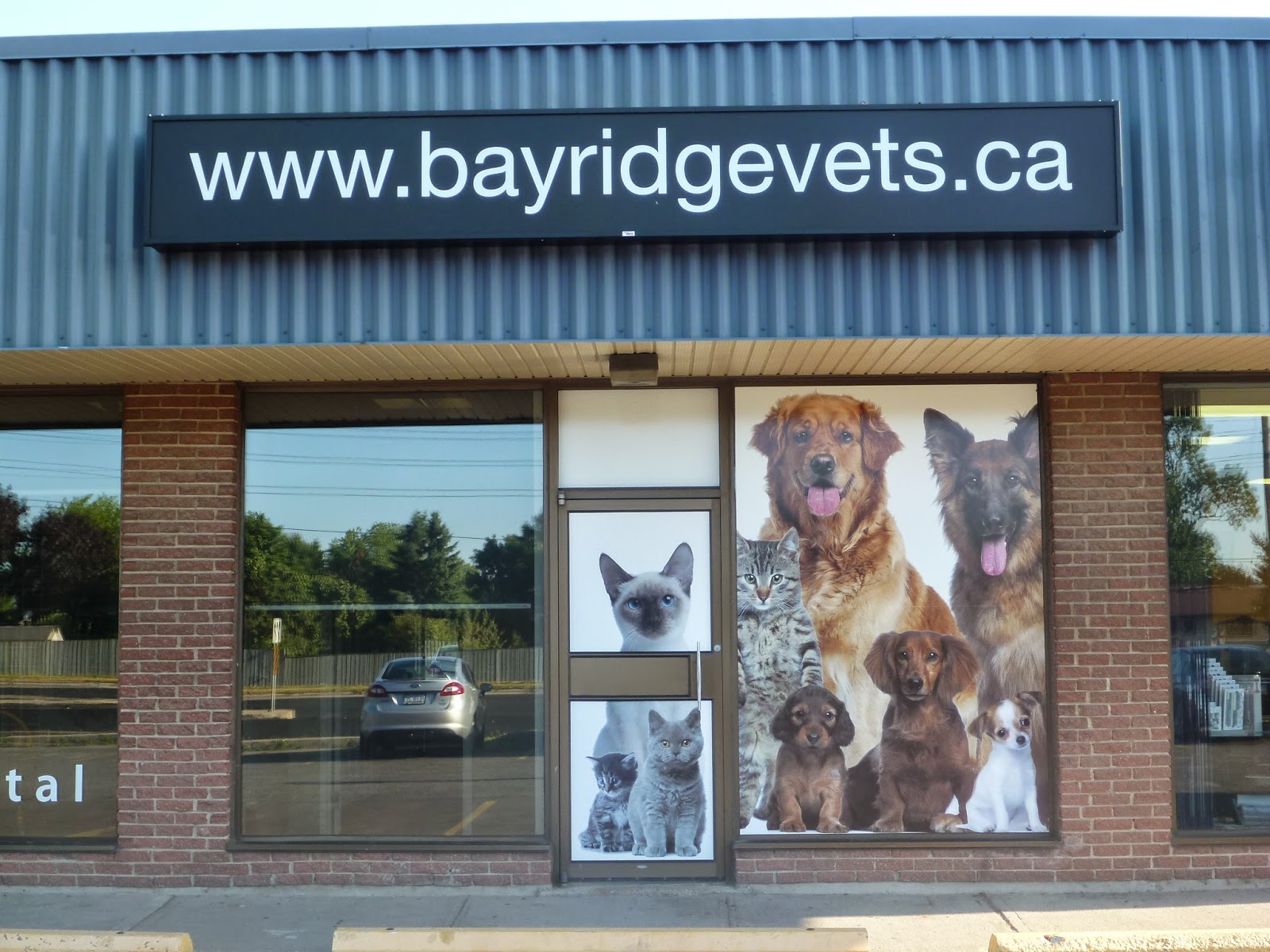 Bayridge Animal Hospital - Kingston , Canada