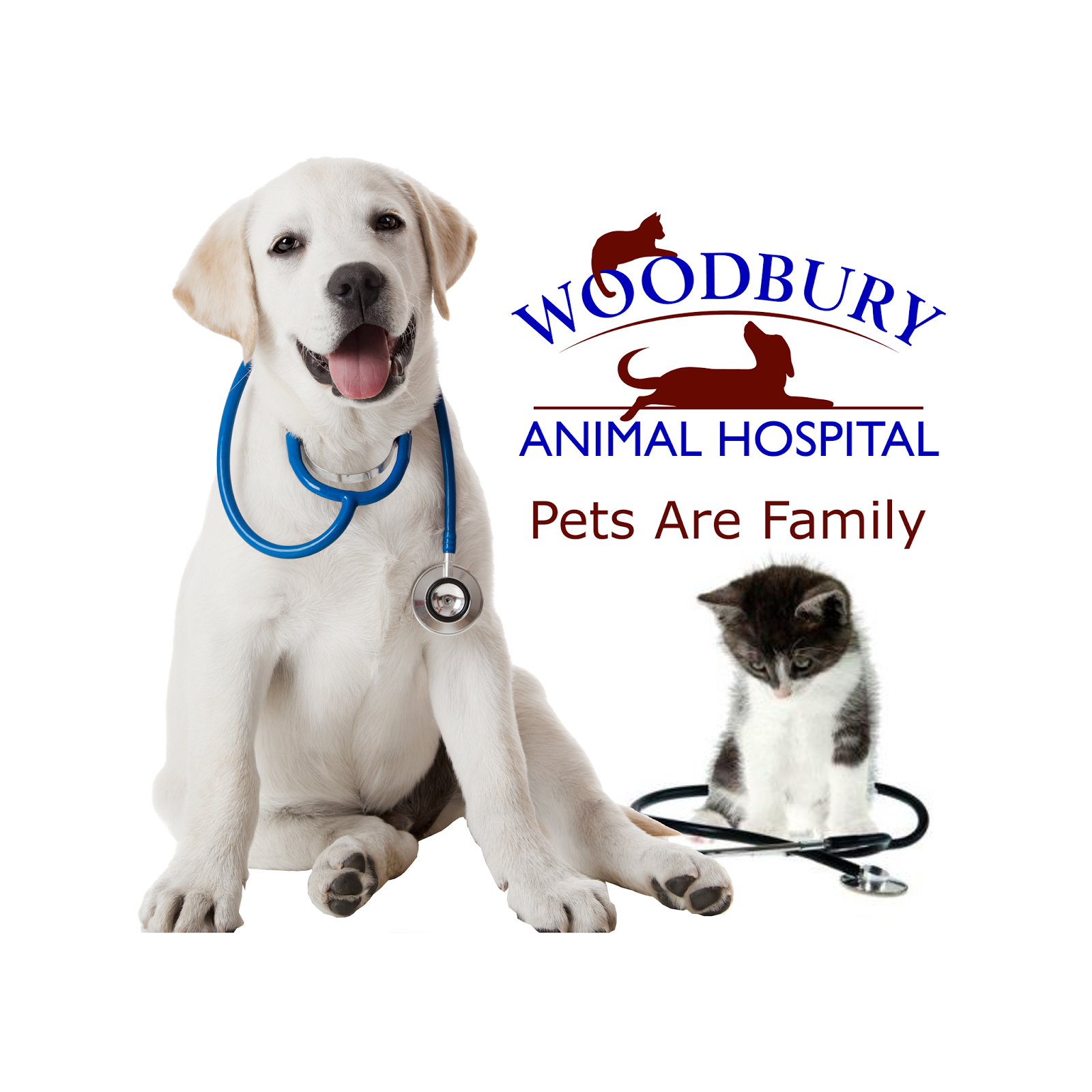 Woodbury Animal Hospital - Woodbury , United States