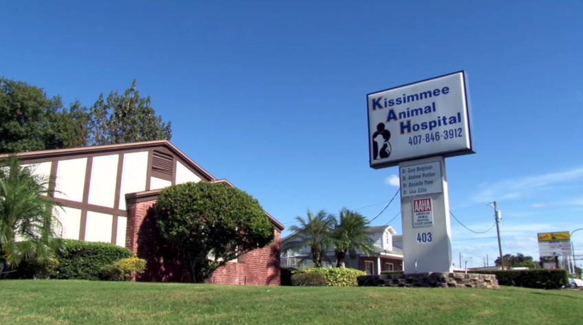Kissimmee Animal Hospital - Kissimmee , United States