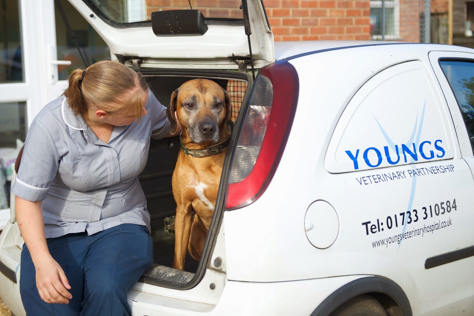 Yarwell Veterinary Surgery - Peterborough , United Kingdom
