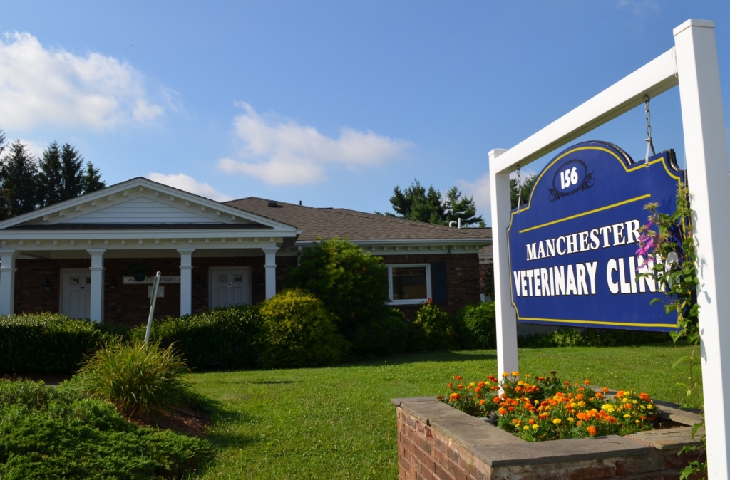 Manchester Veterinary Clinic - Manchester , United States