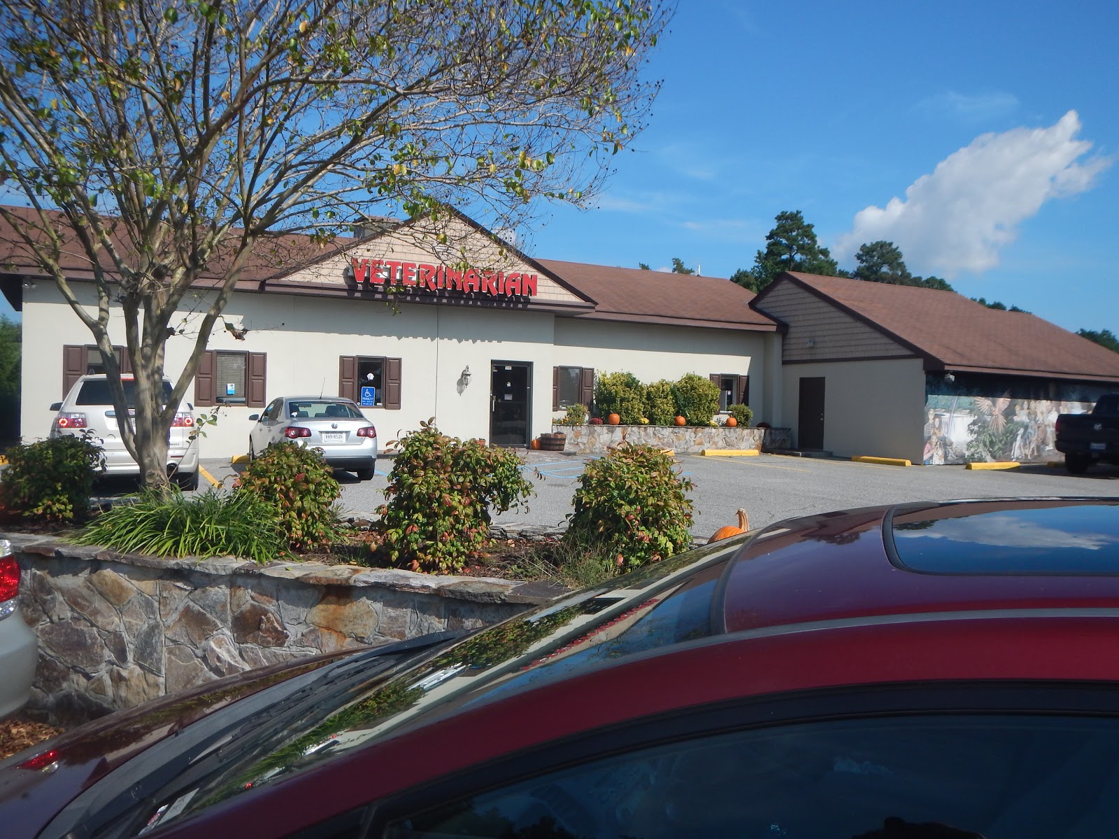 Academy Animal Care - Suffolk , United States