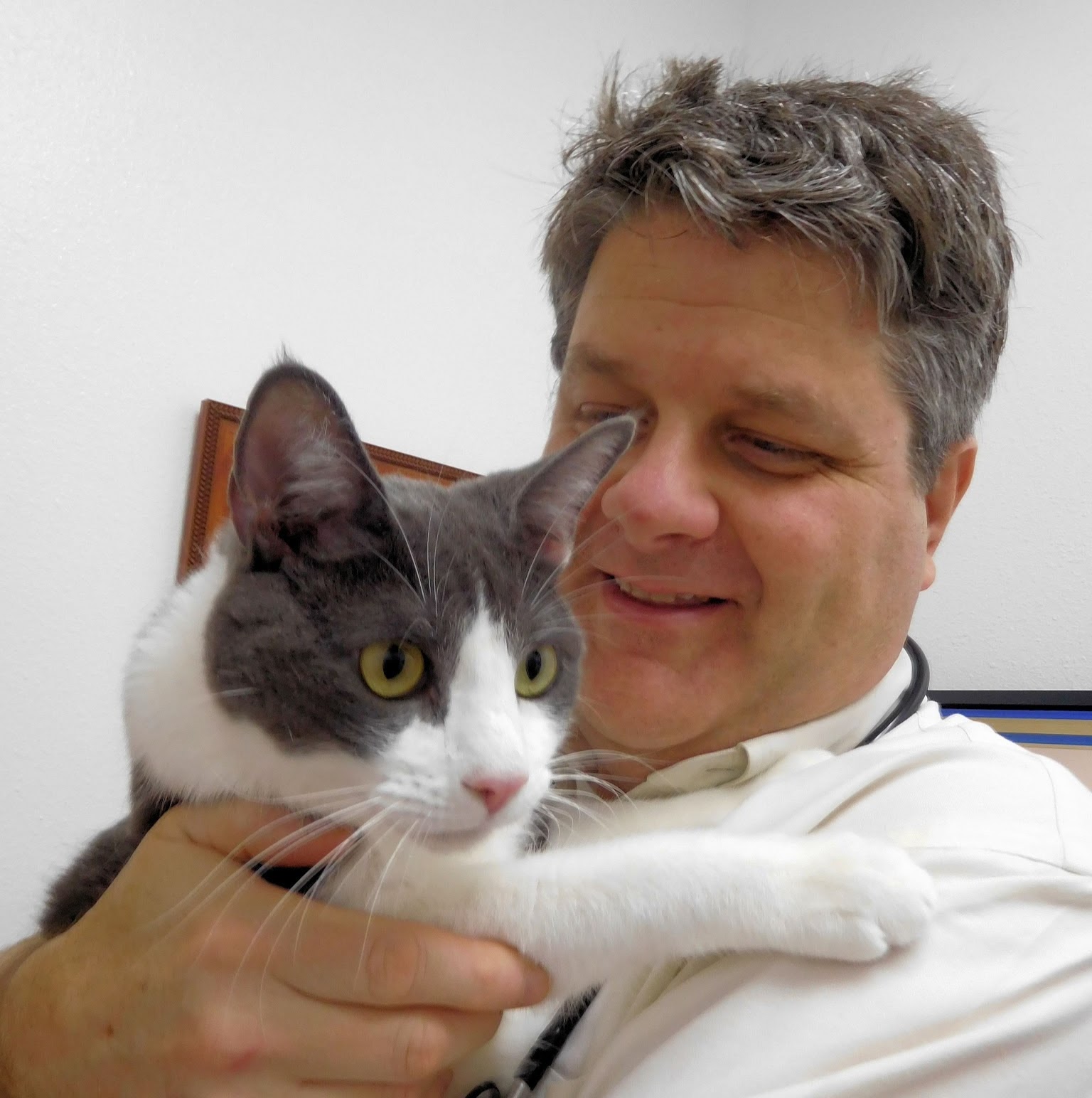 The Cat Doctor - Federal Way , United States
