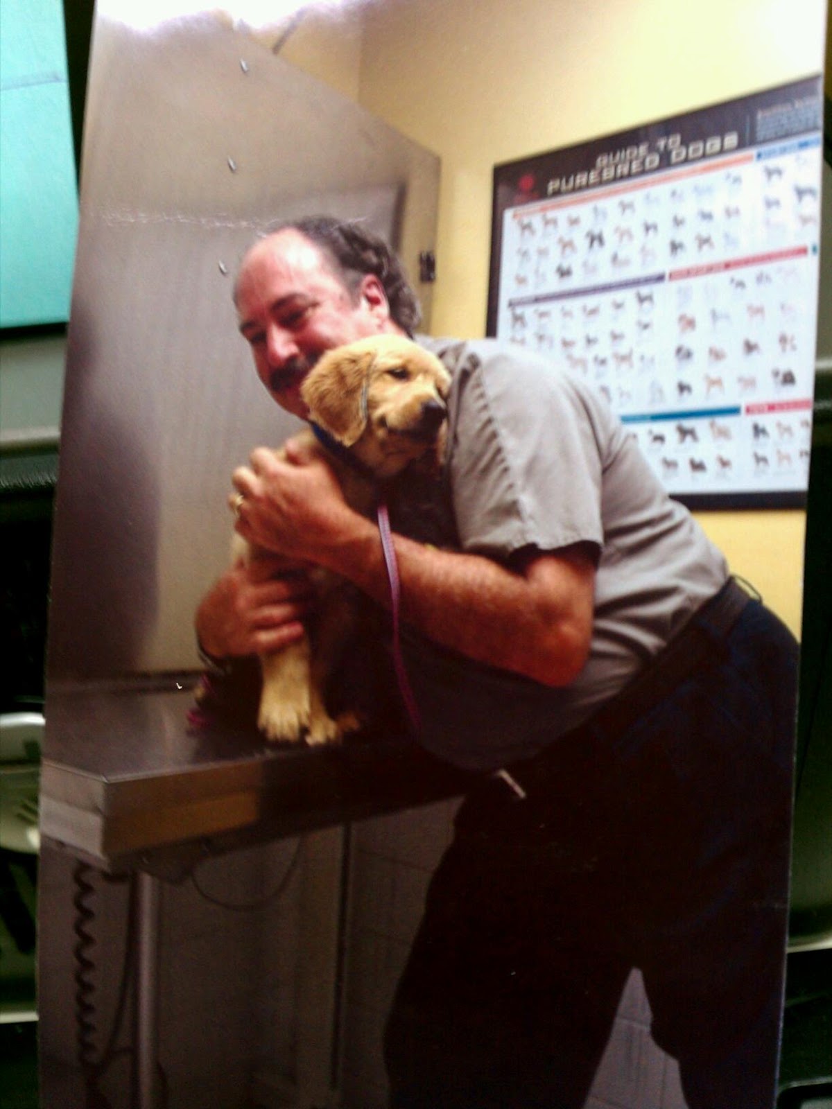 Sandalfoot Animal Clinic And Bird Hospital - Boca Raton , United States