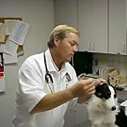 Gateway Animal Hospital - St. Petersburg , United States