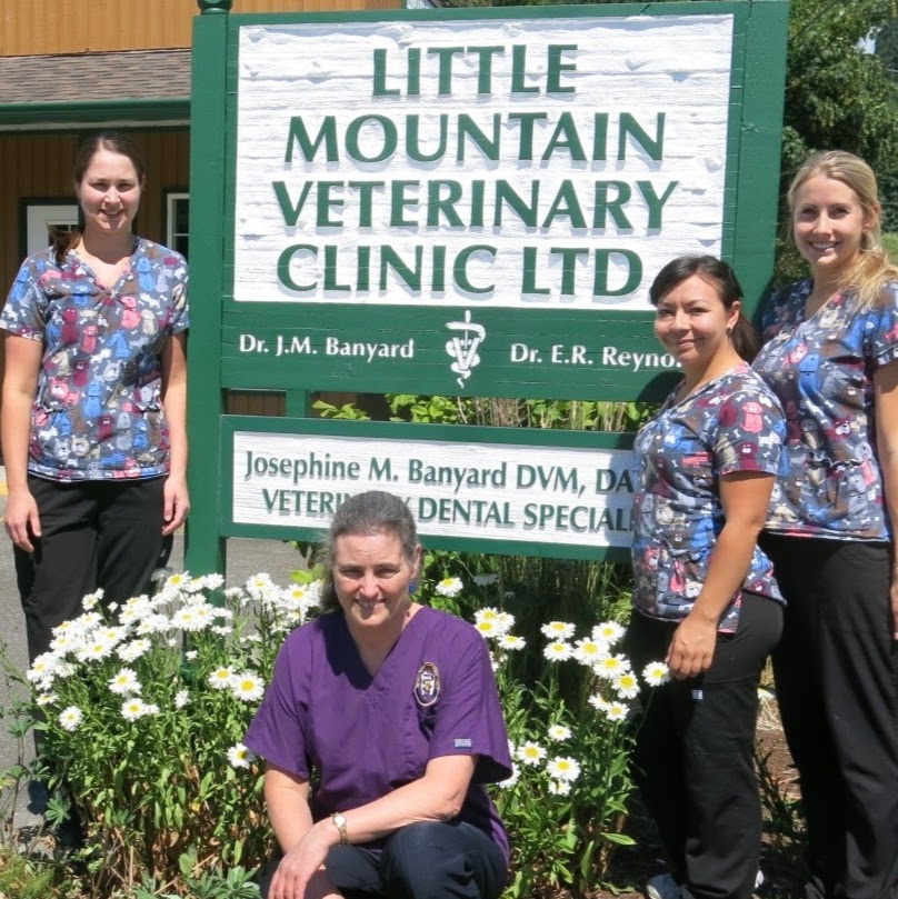 Little Mountain Veterinary Clinic - Chilliwack , Canada