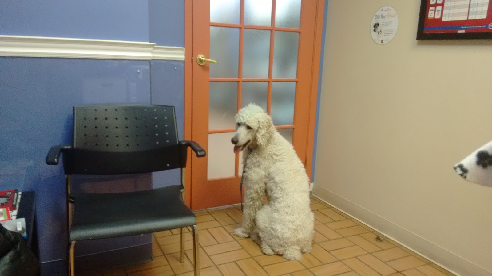 Vca Canada Westside Animal Hospital - Toronto , Canada