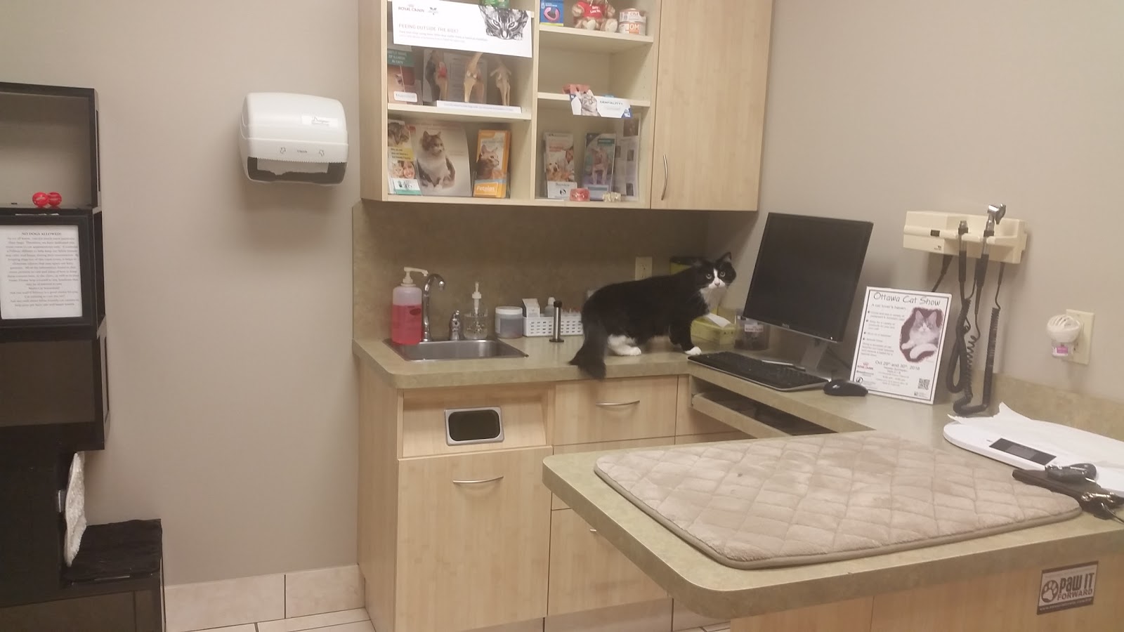 Vca Canada Bayview Animal Hospital - Ottawa , Canada