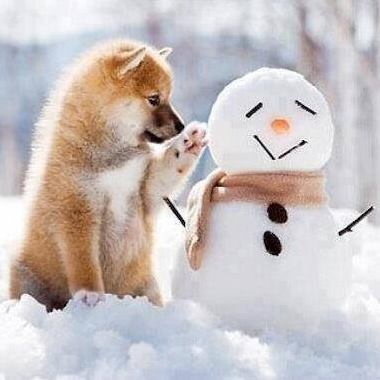 Fort Washington Veterinary Hospital - Fort Washington , United States