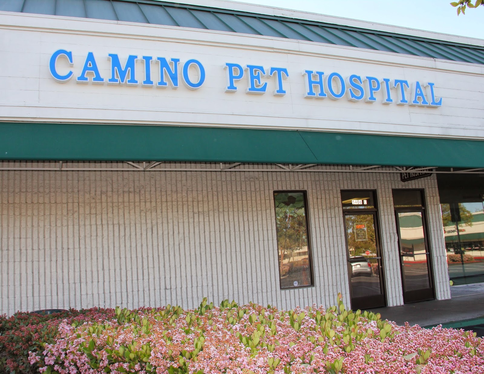 Camino Pet Hospital - Irvine , United States