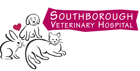 Southborough Veterinary Hospital - Southborough , United States