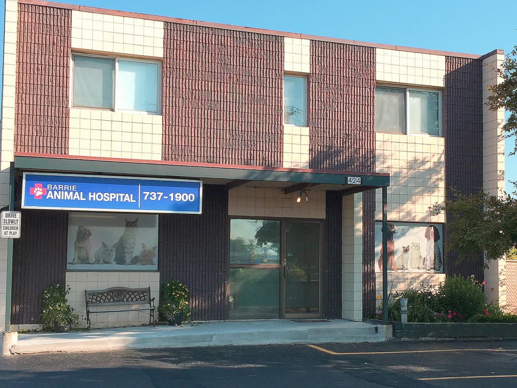 Barrie Animal Hospital - Barrie , Canada