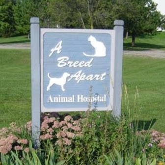 A Breed Apart Animal Hospital - Madison , United States