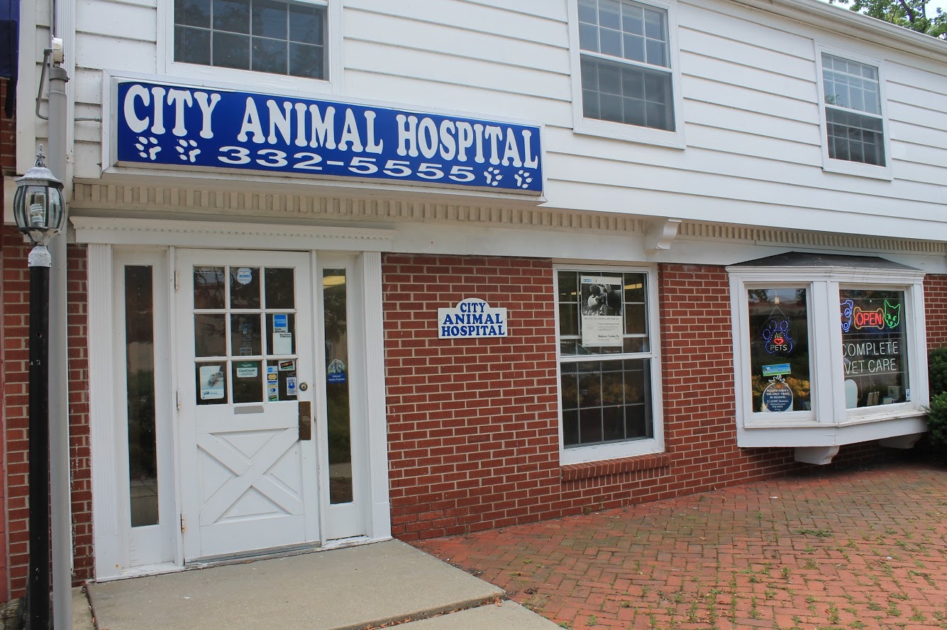 City Animal Hospital - Milwaukee , United States