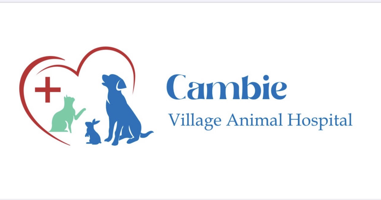 Vancouver South Animal Hospital - Vancouver , Canada