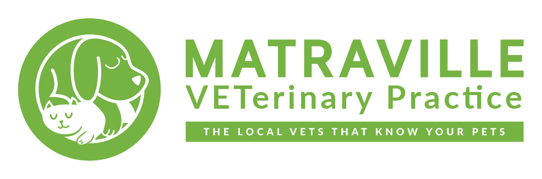Matraville Veterinary Practice - Matraville , Australia