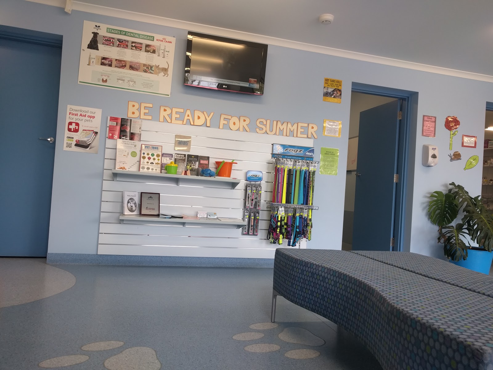 Animalia Vet Clinic - Evanston , Australia