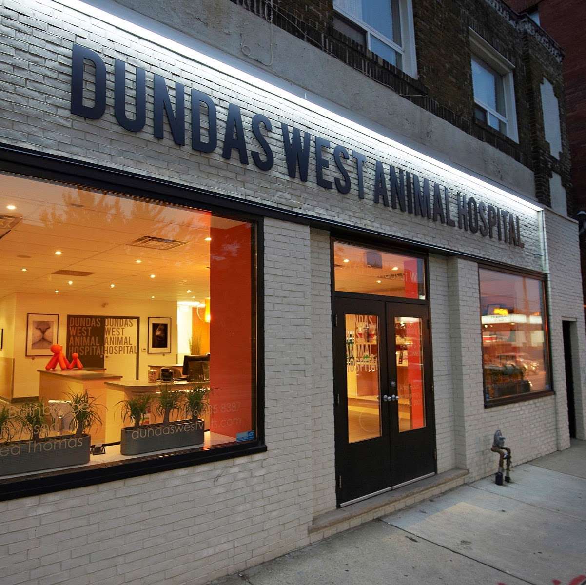 Dundas West Animal Hospital - Toronto , Canada