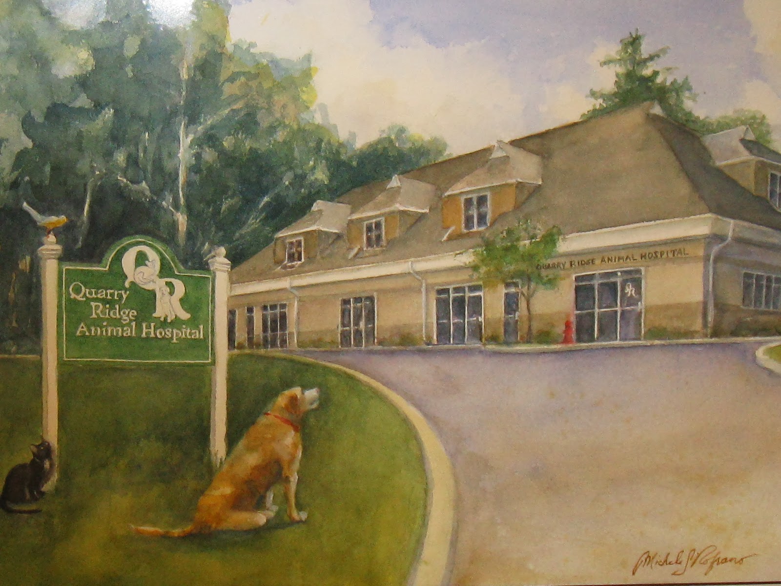 Quarry Ridge Animal Hospital - Ridgefield , United States