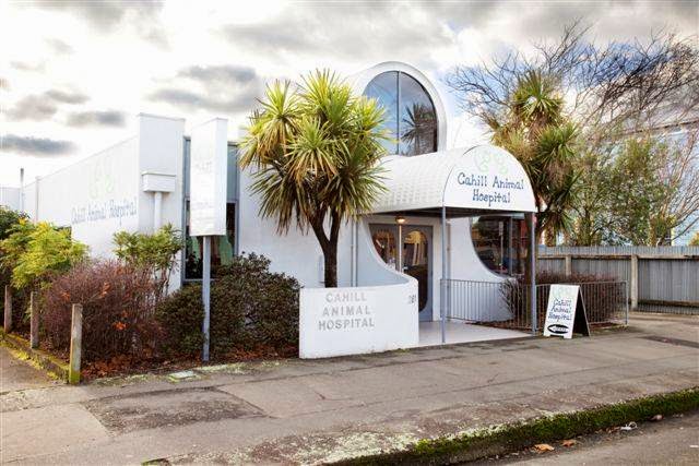Cahill Animal Hospital - Palmerston North , New Zealand