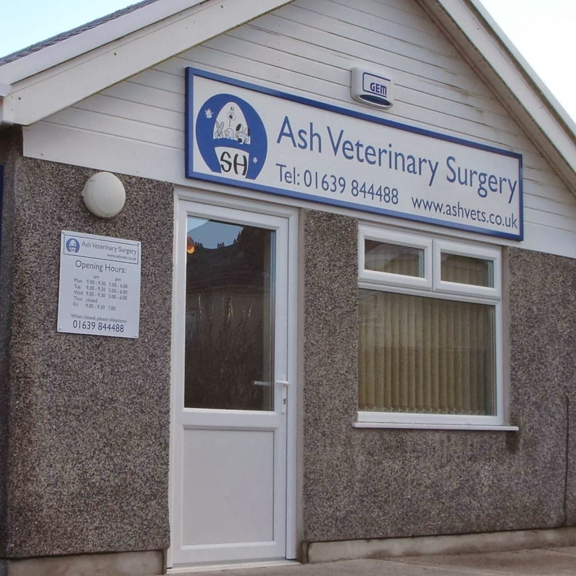 Medivet Ystradgynlais Ash Veterinary Surgery - Swansea , United Kingdom