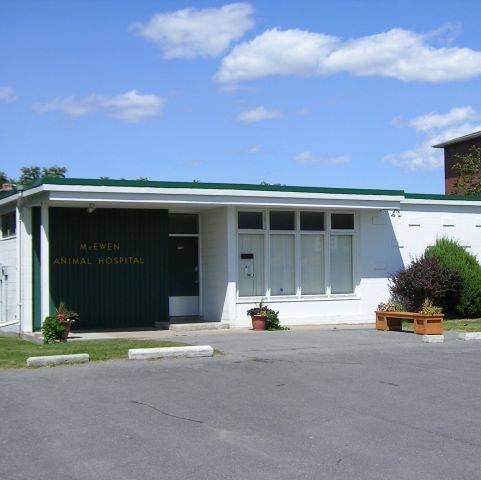 McEwen Animal Hospital - Kingston , Canada