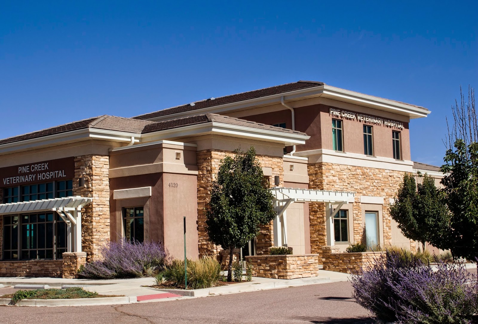 Pine Creek Veterinary Hospital - Colorado Springs , United States