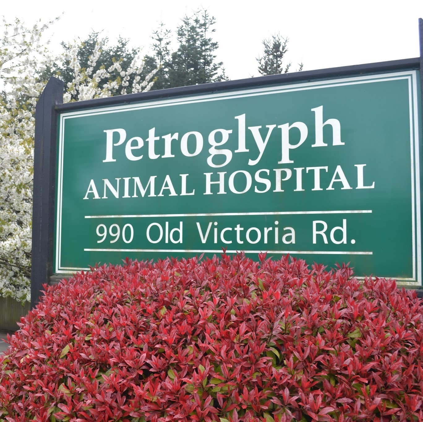 Petroglyph Animal Hospital - Nanaimo , Canada