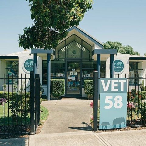 Berwick Veterinary Hospital - Berwick , Australia