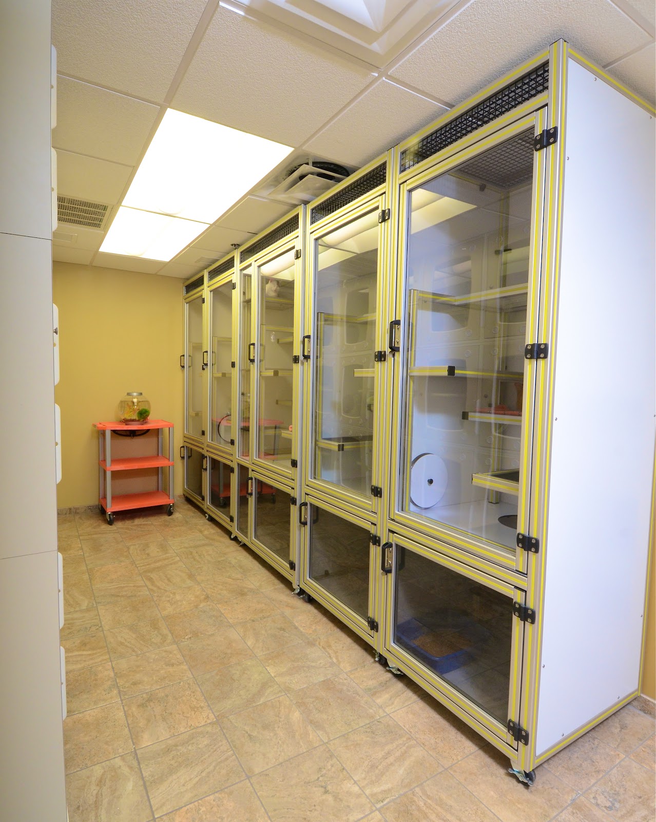 Veterinary Medical Center Of St Lucie County - Port St. Lucie , United States