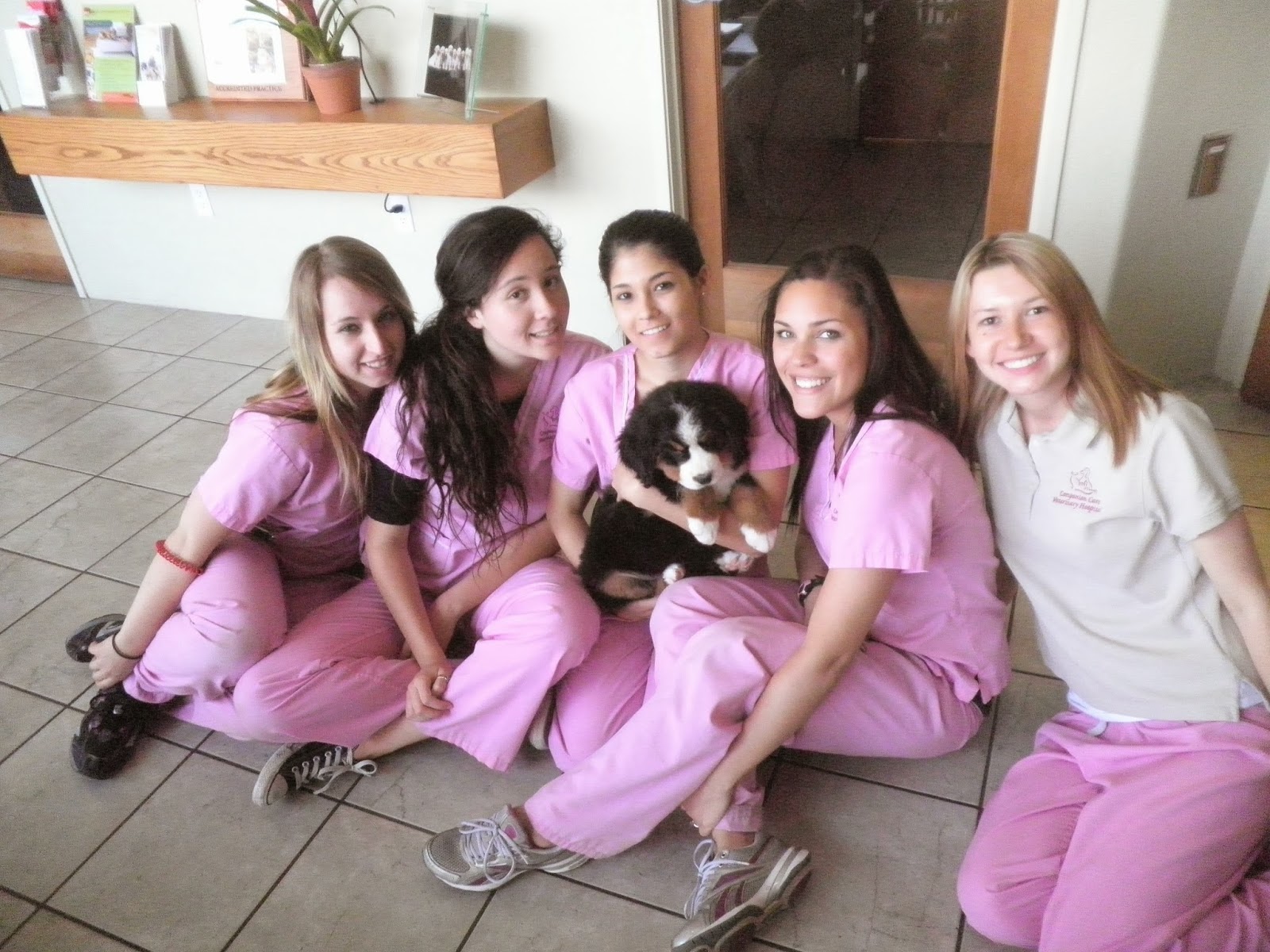 Companion Care Veterinary Hospital And Urgent Care - San Diego , United States