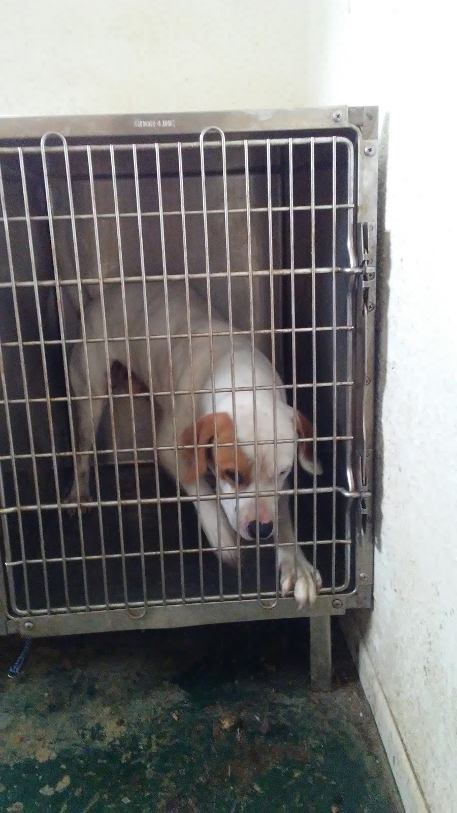 Riceland Veterinary Clinic - Nome , United States