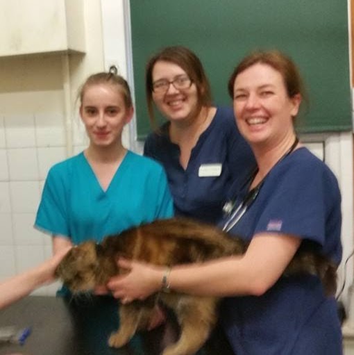 Adams Vets - Liverpool , United Kingdom