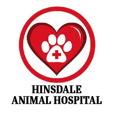 Hinsdale Animal Hospital - Hinsdale , United States