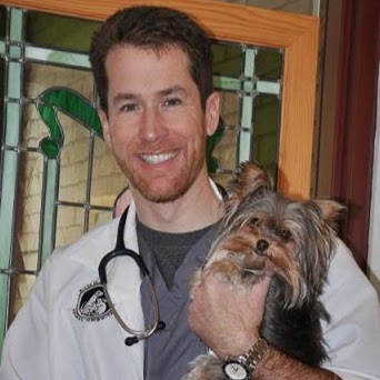 Kingsbury Animal Hospital - St. Louis , United States