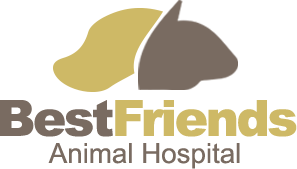 Best Friends Animal Hospital - Mesa , United States
