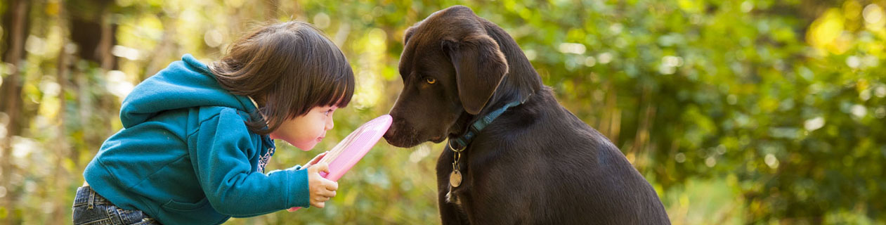 Snoqualmie Valley Animal Hospital - Fall City , United States