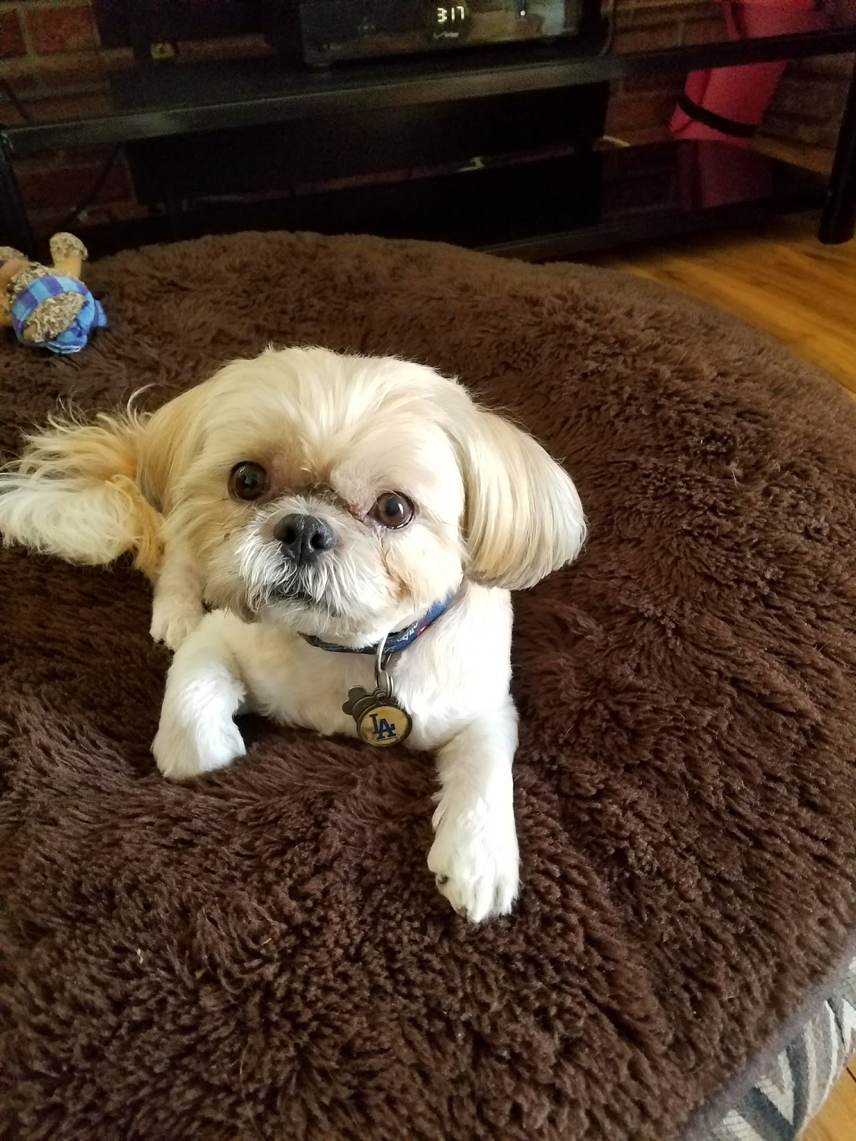 Sunrise Pet Hospital - Anaheim Hills , United States